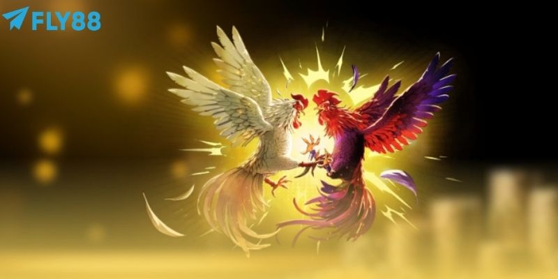 Người chơi nên theo dõi các chiến kê cần cược